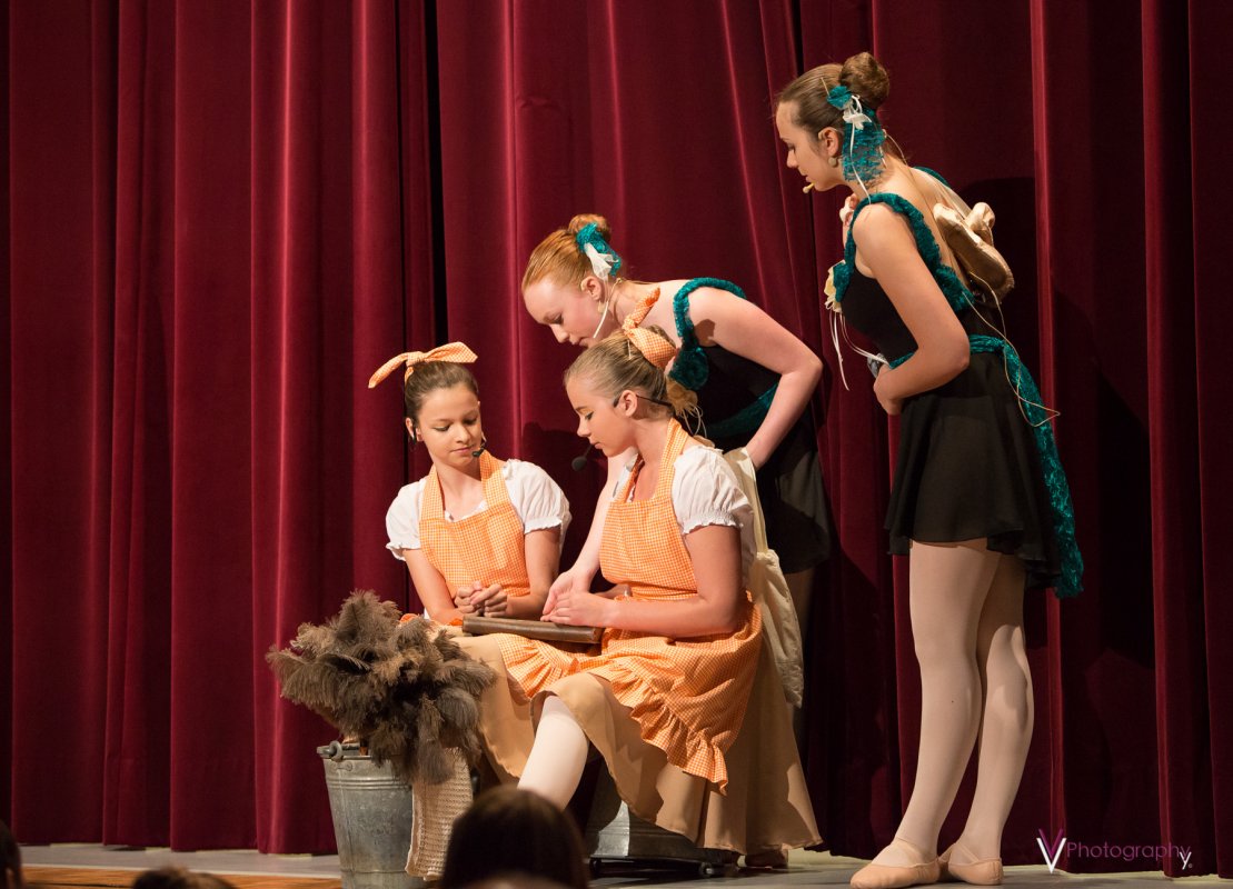 Ballettauffuehrung_2014_04.jpg
